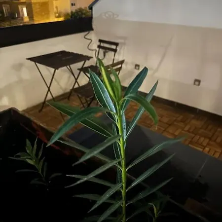 Charming Quite Apartment, Blizu Centra